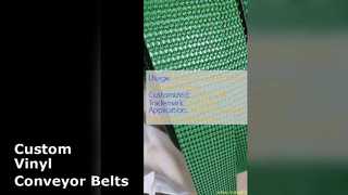 Giải pháp băng tải Vinyl tùy chỉnh